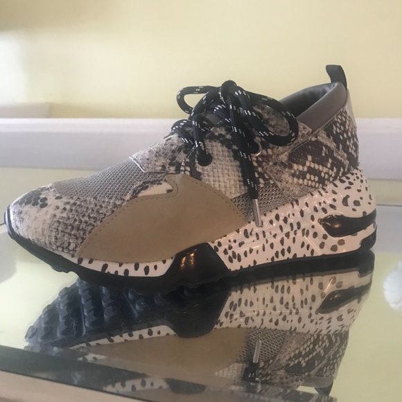 Steve Madden Sporty Cliff Sneaker - Picture 1 of 7